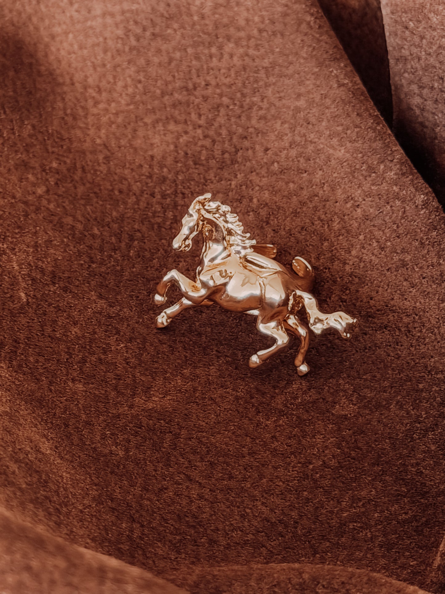 Anillo horses 🐎