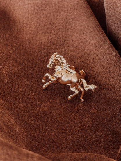 Anillo horses 🐎